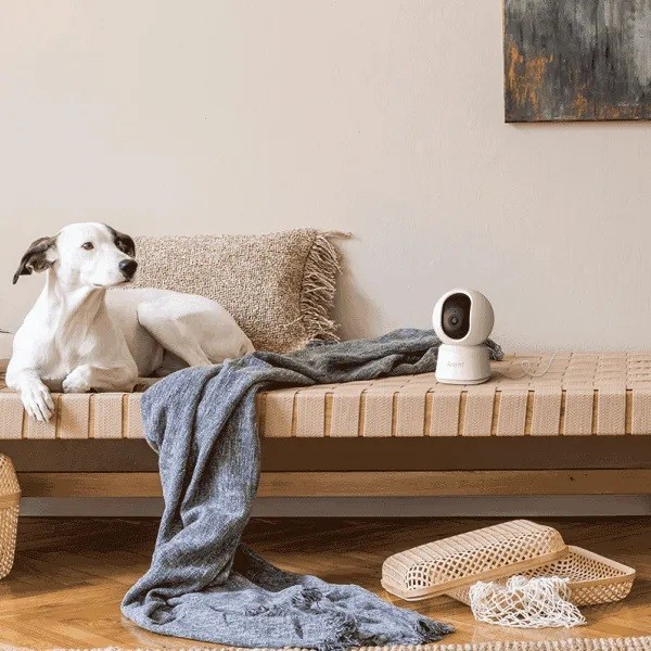 P2F nadzorna kamera, notranja,5MP UHD, 2,4 in 5,8GHz, Arenti