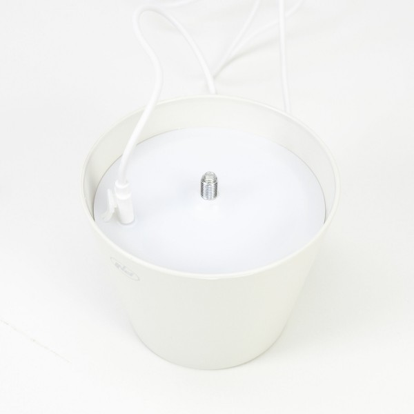 Namizna LED svetilka LT04W