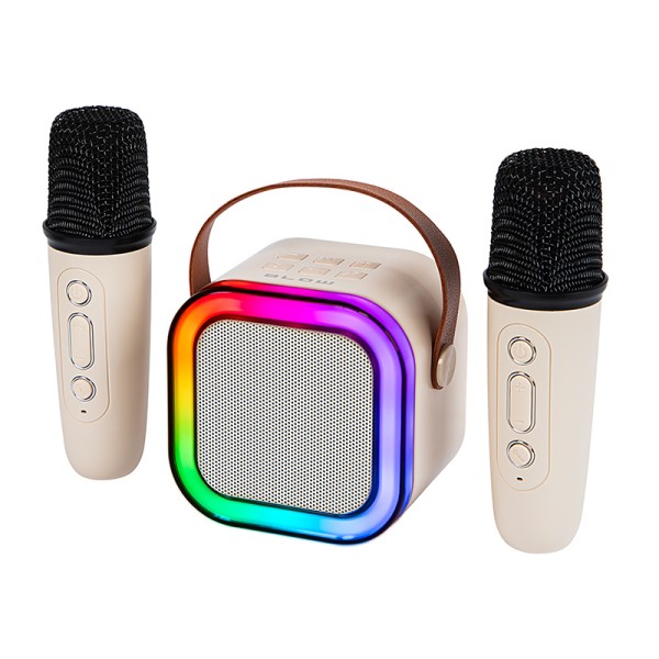 Prenosni zvočnik Karaoke RGB 30-358